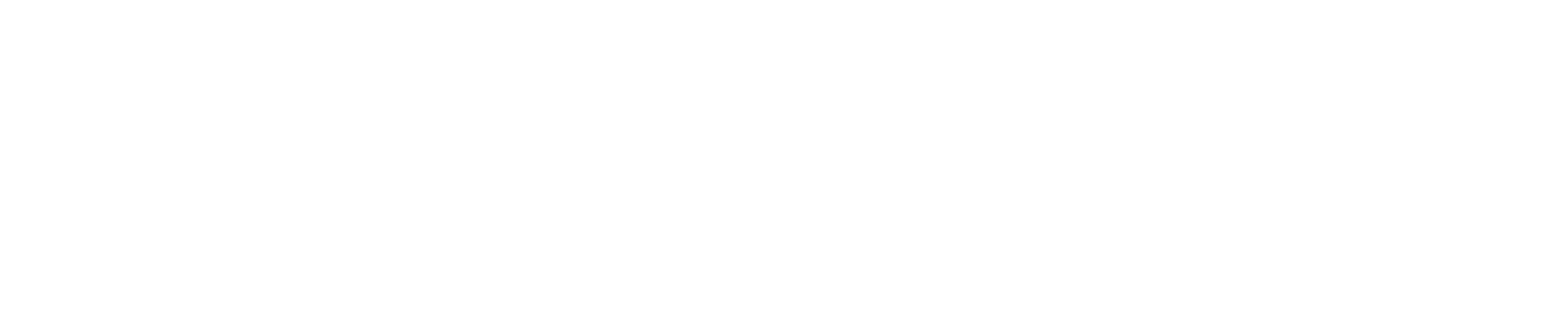Hamburg2go logo